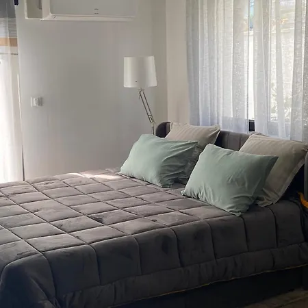 Grand Independant Avec Jardin Peyssies